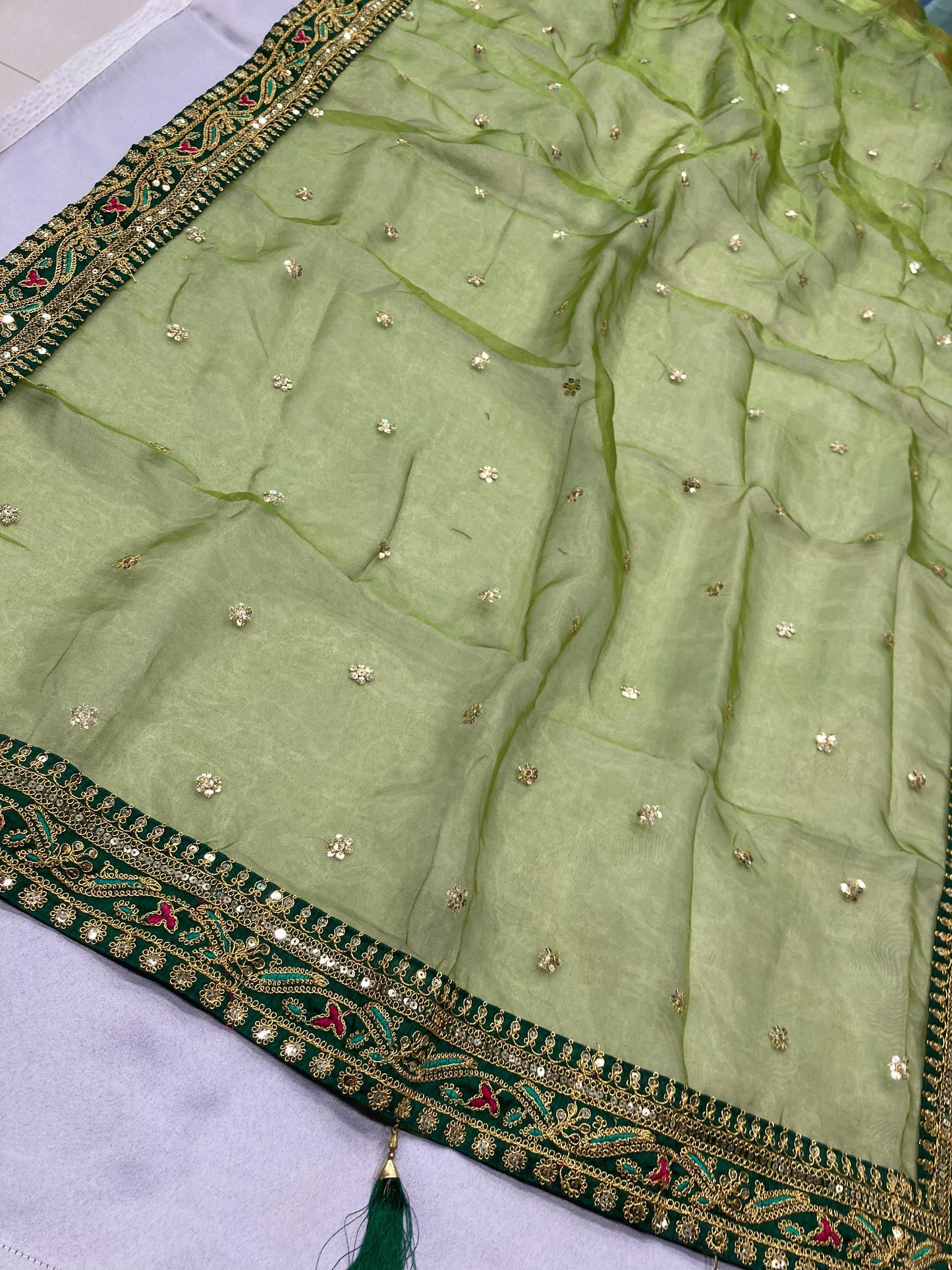 Looking some one for this same colour beautiful Designer Saree on premium Royal Organza fabric with digital printed with sequence Butti Fully embroidery lace border work