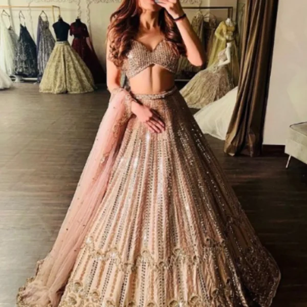 Stunning Bollywood-style designer lehenga choli inspired by Sabyasachi, featuring intricate mirror work, sequin embroidery, and a stylish crop blouse – perfect for Indian weddings, parties, and bridal wear